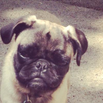 sourplummtk's profile picture. 