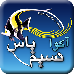 my sait :
https://t.co/xdZFPs4PPi
and
https://t.co/LGfcaVYvvF
email: nasimeyas@gmail.com
tel: 02632209772