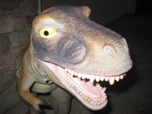 TheFunkeyShow's profile picture. 