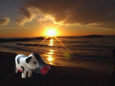 zzefncs's profile picture. Preston