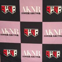 AVメーカーAKNR広報ツイッター (@aknrav) Twitter profile photo