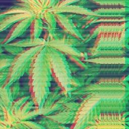 freedreamer69's profile picture. crazy cookie