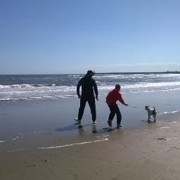 dom12340wen's profile picture. 