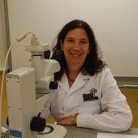 Dr. Tamara Franz-Odendaal, PhD., MSc.π¨π¦πΏπ¦ (@franzodendaal) 's Twitter Profile
