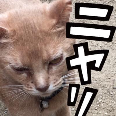 ちくわ インヘルノ最終回買いました マツモトトモ先生は引退されるのですか コミックの柱コメントがそんな感じがしますが ちくわ インヘルノ最終回買いました マツモトトモ先生は引退されるのですか コミックの柱コメントがそんな感じがしますが