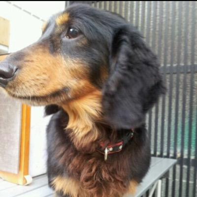 YumikaToyoyama's profile picture. 