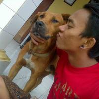 Rudy winarta (@puturudywinarta) 's Twitter Profile