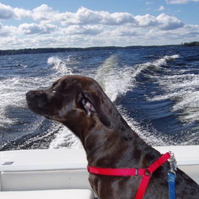 LSordillo's profile picture. 