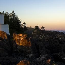 enrlo's profile picture. 