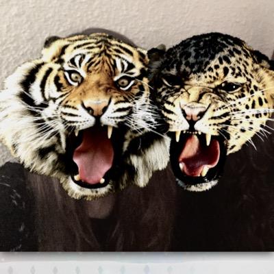 tassodelmiele65's profile picture. check our work on http://t.co/ezLwCQxDQR