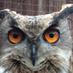 WNW Animal Education (@wnwltd) Twitter profile photo WNW Animal Education (@wnwltd) Twitter profile photo