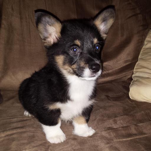 waydown161's profile picture. 