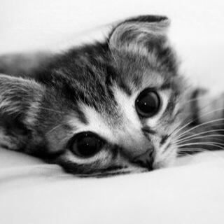 ‏‏علاقتي الدائمه بإذن الله.                                                 أنتمي الى الفهيد♥
