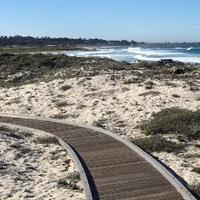 Asilomar_SSC (@asilomar_ssc) 's Twitter Profile