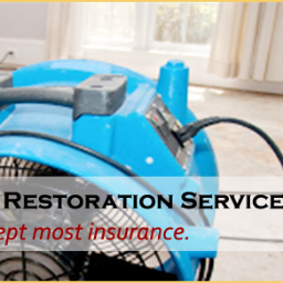 newportricheyh2's profile picture. Licensed water damage restoration company.