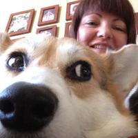 Andry Wood Kennedy (@andrykenn) 's Twitter Profile