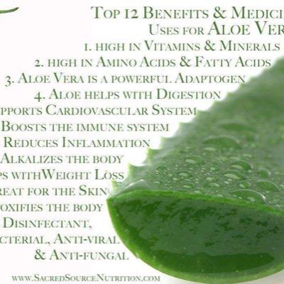 Foreveryone289E's profile picture. 