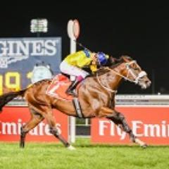 Undefeated GR1 winner in SA. Gr1 winner in Dubai. Son of Champion Sire, Silvano. Now standing at Maine Chance Farms