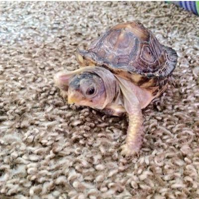 RileyKeyper's profile picture. Keyper for Life! :D