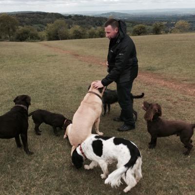 At One Of The Pack my aim is to give your pet 150% of love and attention. I will make sure your pet has the time of their lives !