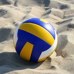 A sand volleyball party for Annie's Sweet Sixteen! Follow for more details. :)