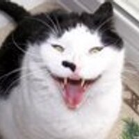 Olternaut (@olternaut) 's Twitter Profile