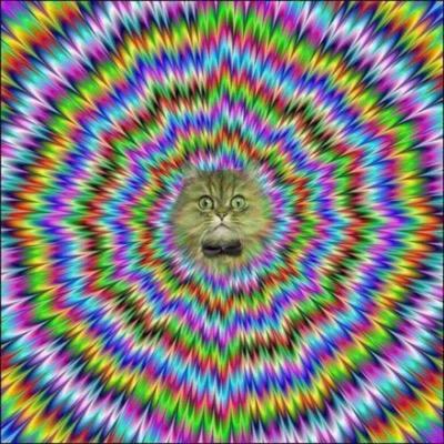 ObservantRandom's profile picture. My random opinions and observations.