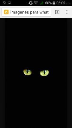 QuCastaneda's profile picture. 