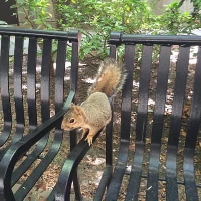 criticalma55's profile picture. 