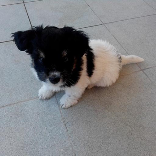 ntinakimelene's profile picture. 