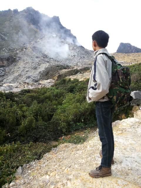 amalsgl's profile picture. Proud to be @ManUtd fans