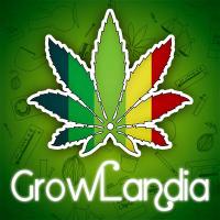 GrowLandia(@GrowLandiaOFI) 's Twitter Profileg