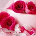 محمود (@01206385944y) Twitter