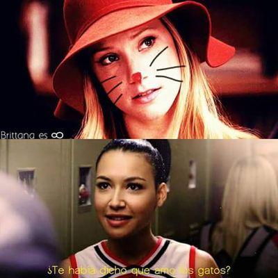 VrayneV's profile picture. Yooo...MRod Army...Clash of Clans...Vampire...Glee Fans... Follow Me...Open to all...no matter gay or lesbian or whatever... I'm a sporting guy...