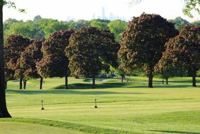 Up to date info about the Glen Ridge Greens Department and course conditions