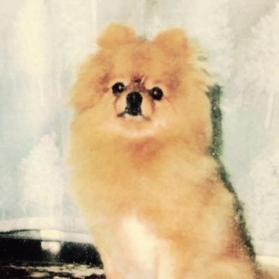 75mai_23's profile picture. 