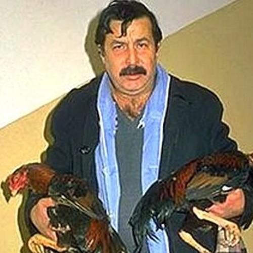 tuaslan's profile picture. Vatandaşa cart curt yok.