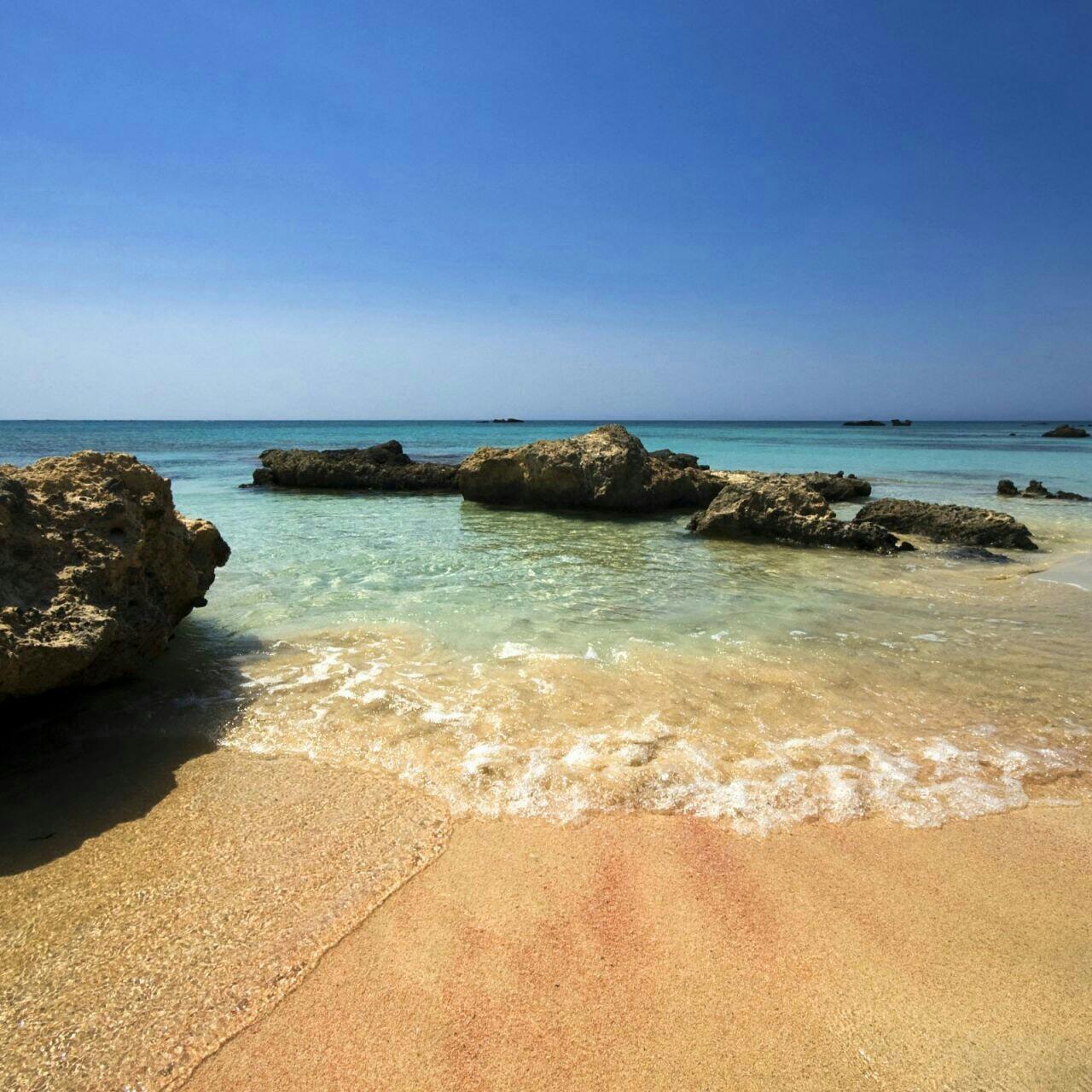 tcgl1220's profile picture. Change begins with YOU. So be the change!