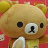 papeppo201307's profile picture. リラックマらぶ。 リラックマにきゅんきゅんするたびにツイートしますｖフォト蔵にくまくま写真いっぱいあるからみてね(*^▽^*)twitpicにもあります。最近羽生結弦くんへの愛が抑えきれず、たまに羽生くん関連もツイートします　　　http://t.co/DVEh0PkLYH