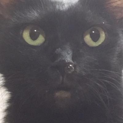 TpJKFxepauJT1c8's profile picture. 