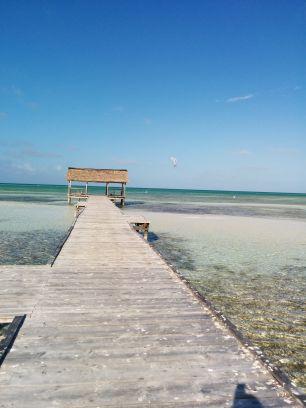 jeebabbu's profile picture. A Canadian 🇨🇦 by choice, an Optimist, a meditator, a Reiki healer and A cat 🐈 lover.