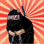 Part time programmer, full time ninja.