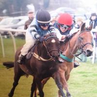 Point-to-Point Pony (@ptpponyracing) 's Twitter Profile