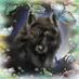 Manon (@blackwolves51) Twitter profile photo Manon (@blackwolves51) Twitter profile photo