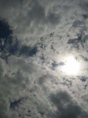 Robertw109523's profile picture. 