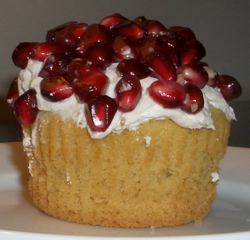 puddlewalk's profile picture. Middleburg, VA/Washington, DC/New Orleans, LA