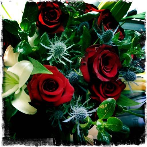 Alabamaturtle7's profile picture. 