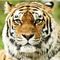 Mike (@sirmiguel_) 's Twitter Profile Photo