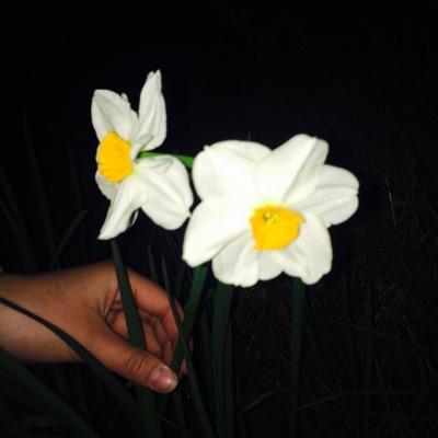 SCorkish's profile picture. 