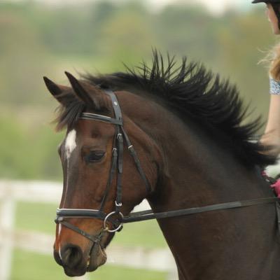 A horse girl from St. Louis